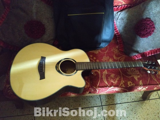 Deviser L2 770A Acoustic Full New Guitar